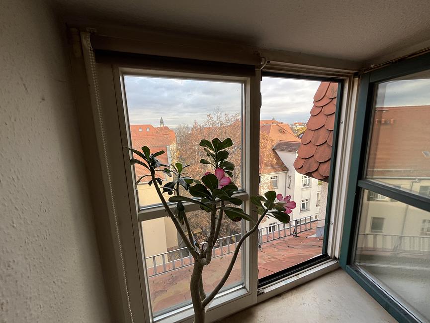 Bild 7 Zwei Raum Wohnung in Kleinzschocher zur Zwischenmiete