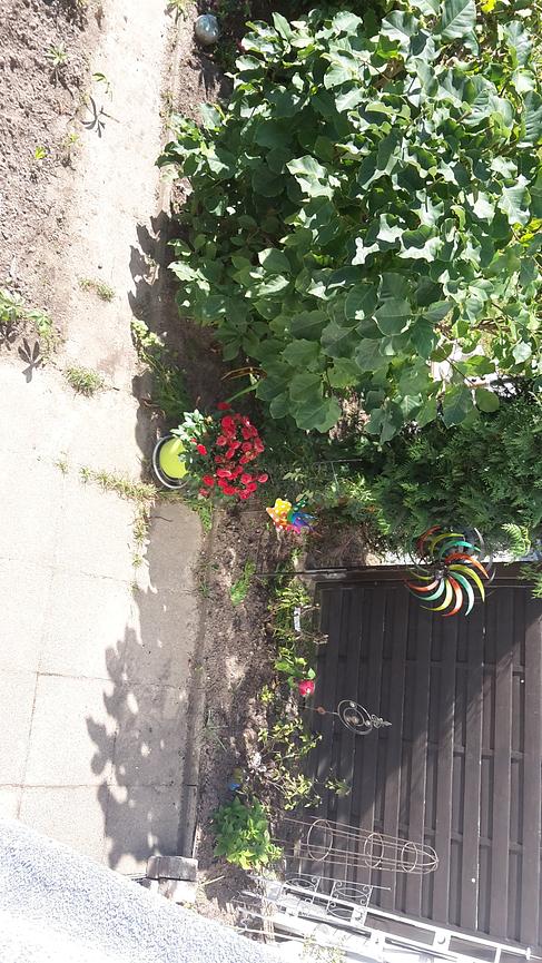 Bild 1 Suche nette/netten Mitbewohner