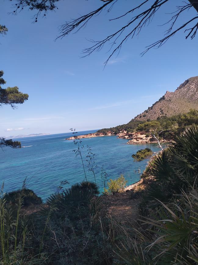 Bild 1 Wandern zur Mandelblüte auf Mallorca für Frauen