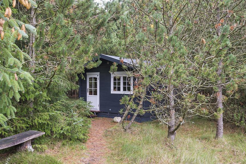 Bild 16 Dänemark  -  Blaavand - Ferienhaus - Frischer Wind