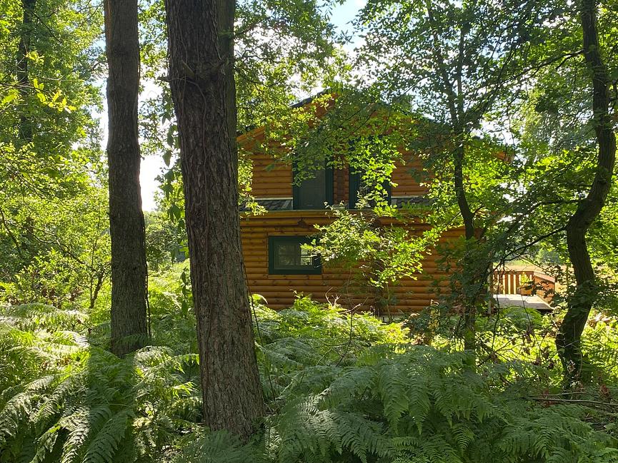 Bild 11 KANADISCHES BLOCKHAUS (FERIENHAUS) AM WALDRAND - LK ROW