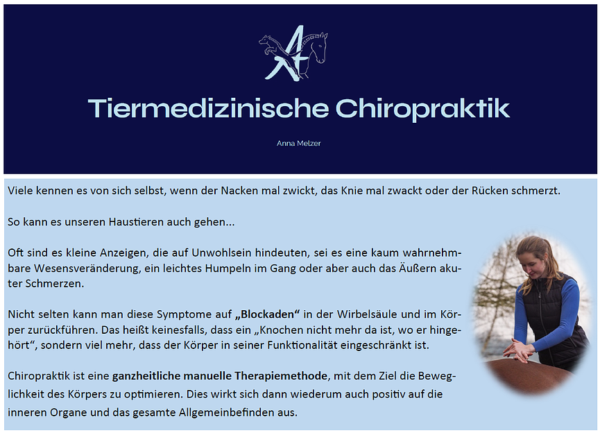 Bild 4 Tiermedizinische Chiropraktik für Pferde und Hunde