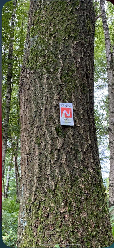 Bild 49 WER ERHOLUNG IN DER NATUR SUCHT, IST HIER GENAU RICHTIG