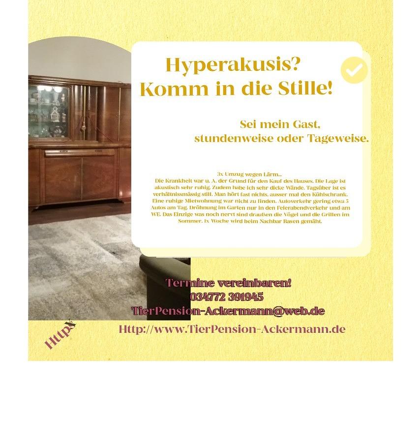 Bild 1 AUSZEIT! akustische Stille!