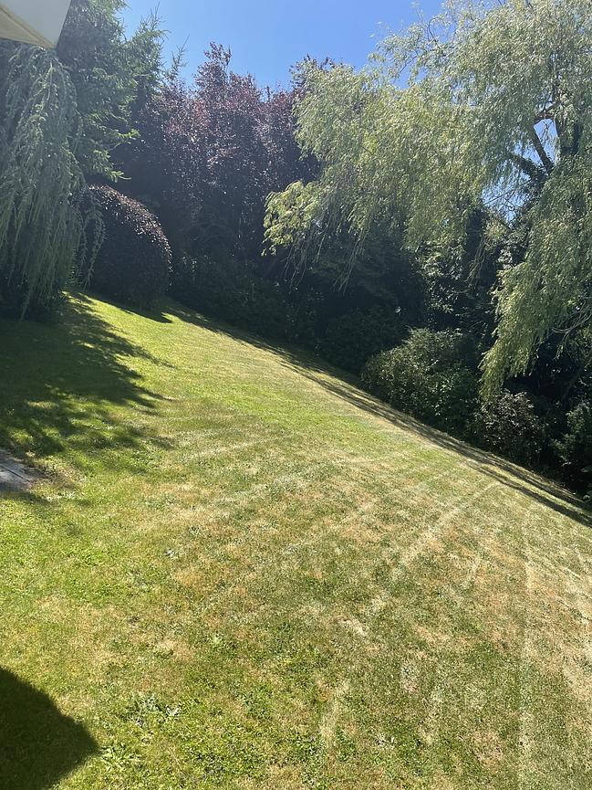 Bild 3 Baugrundstück Voll erschlossen in Montabaur