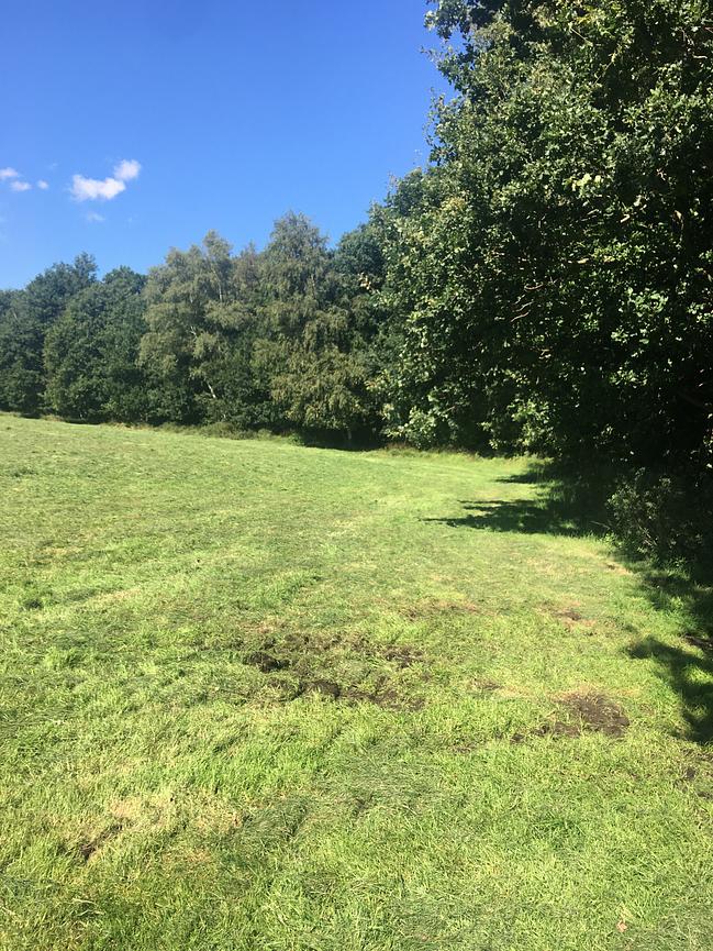Bild 52 WER ERHOLUNG IN DER NATUR SUCHT, IST HIER GENAU RICHTIG