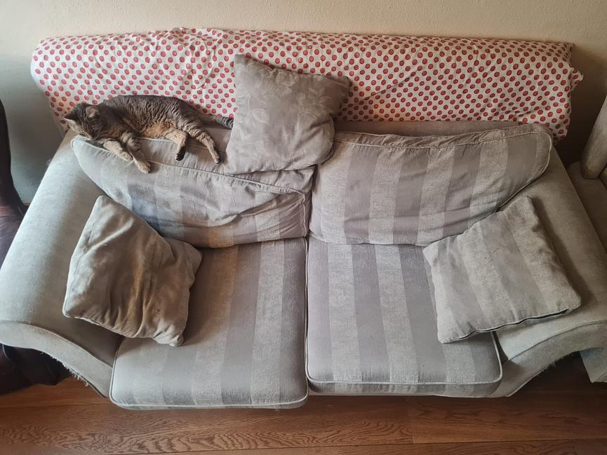 Bild 4 Couch/Zweisitzer von Segmüller abzugeben