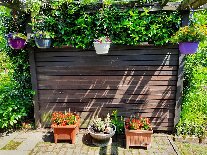 Bild 7 Schrebergarten im Heidberg Braunschweig zu verkaufen - ab sofort