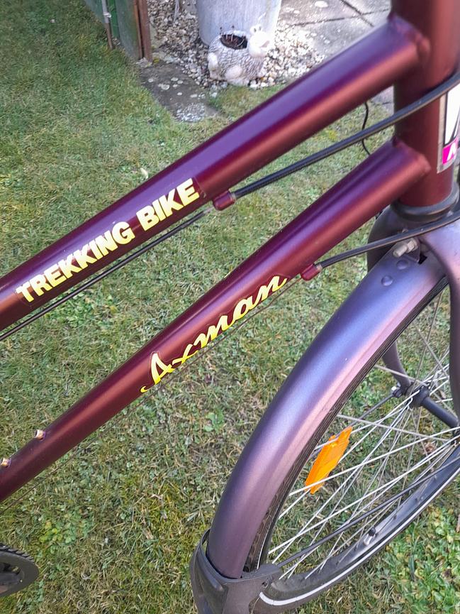 Bild 3 Damenfahrrad zu verkaufen