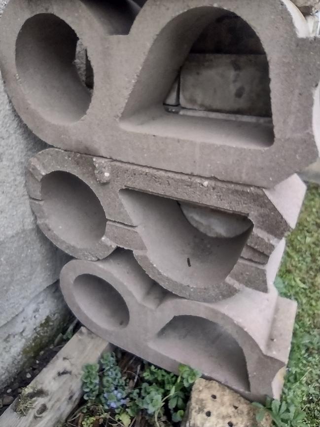 Bild 1 Blumen/Gartentrog