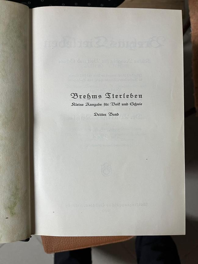 Bild 2 Brehms Tierleben 4 Bände – Antiquariat
