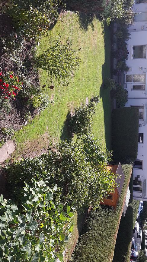 Bild 3 Suche nette/netten Mitbewohner