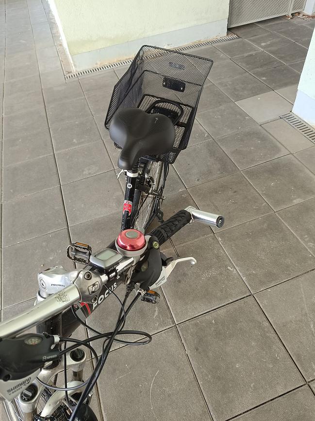 Bild 4 Fahrrad mit Korb (Focus)