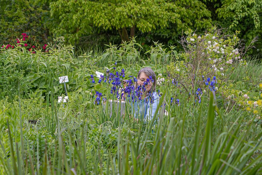 Bild 1 Kurs Nature Journaling im Botanischen Garten Leipzig