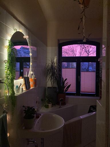 Bild 5 Untermieterin gesucht