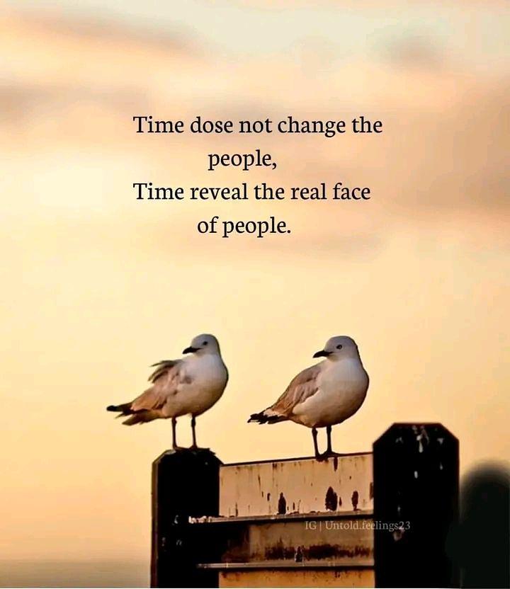 Bild 2 Grosser Bücher VERKAUF