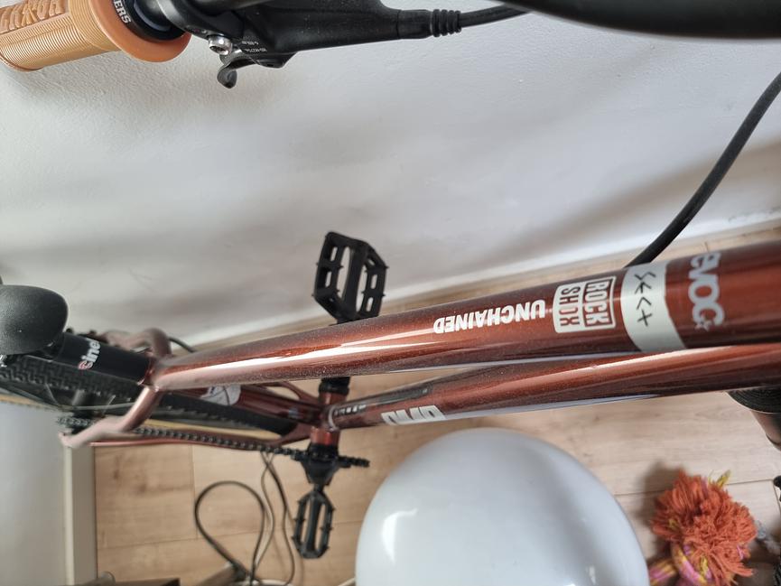 Bild 3 DMR Sect Dirtbike