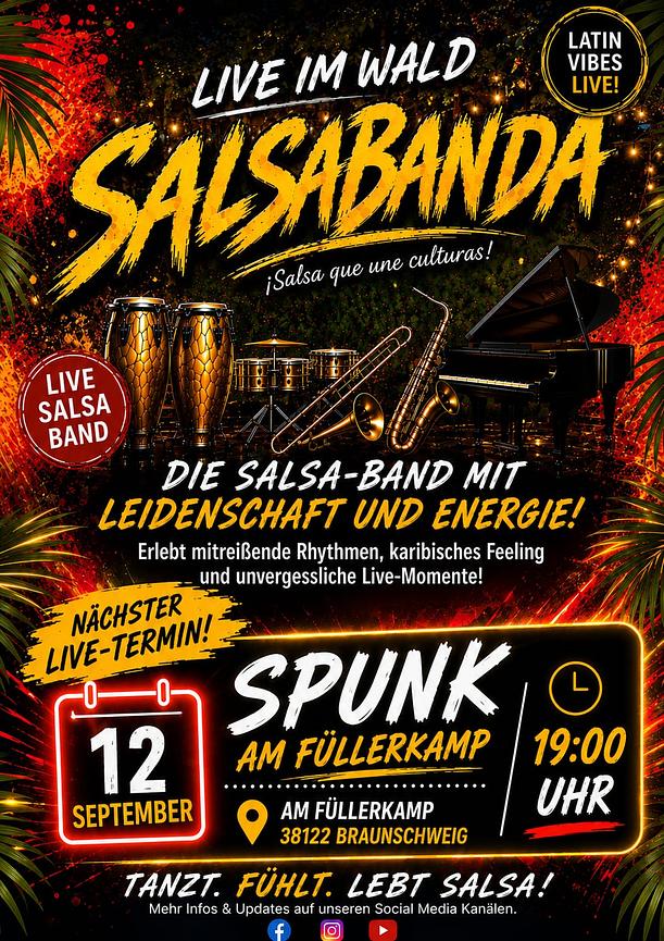 Bild 1 Salsabanda