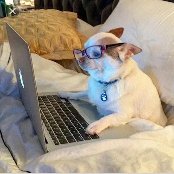 Bild 1 SUCHE Laptop BIETE selbstgemachten Kuchen