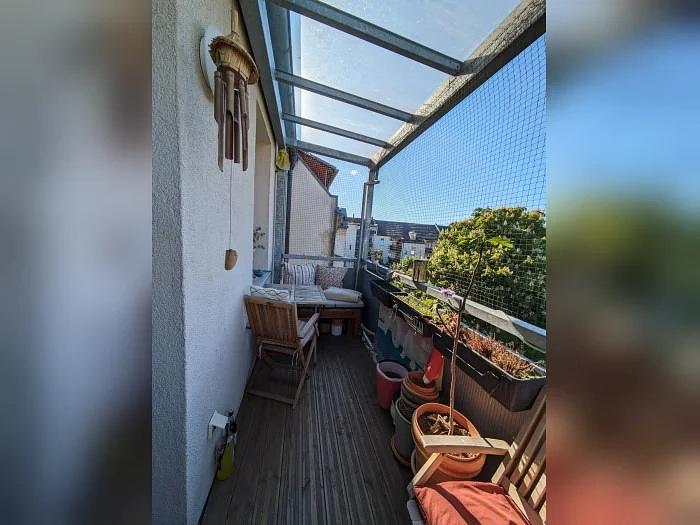 Bild 2 House-& Petsitting in Leipzig gesucht