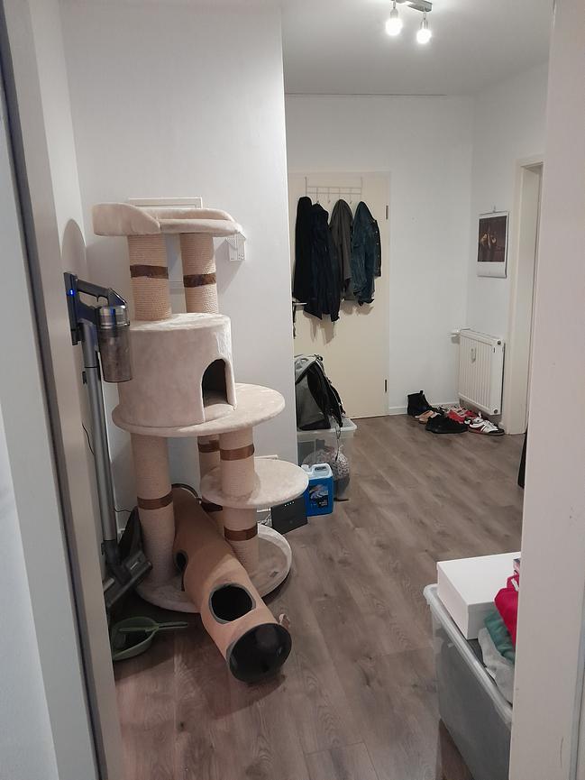 Bild 3 Terassenwohnung Nähe Flughafen Leipzig zur Zwischenmiete