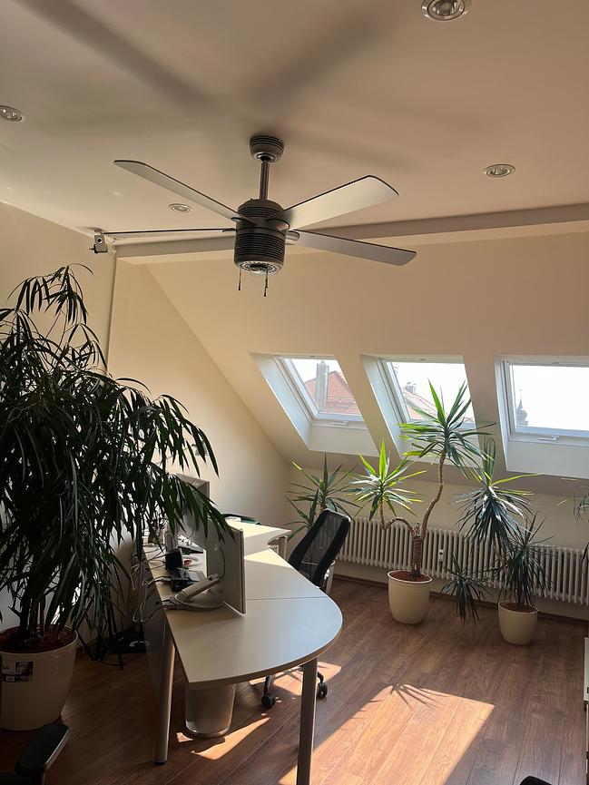 Bild 4 Heller Büroraum in Gohlis zu vermieten