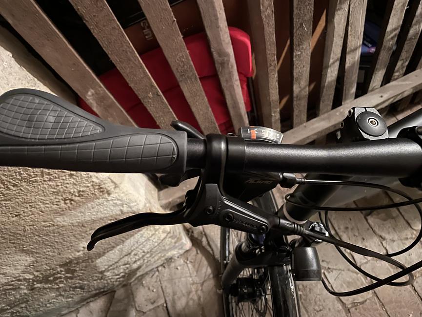 Bild 4 Fahrrad von Stadler (355€)