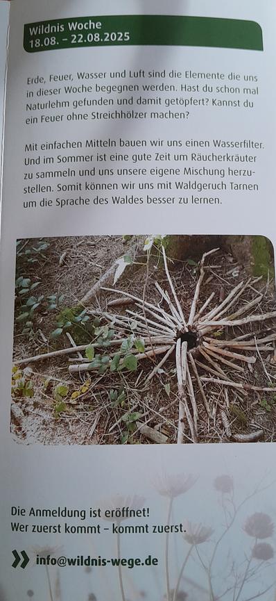 Bild 2 Sommerferienprogramm