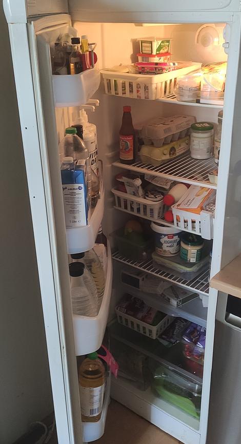 Bild 2 Kühlschrank 