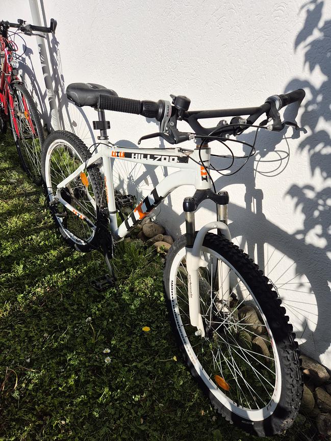 Bild 9 Stabiles Mountainbike – ideal für Wald- und Geländefahrten