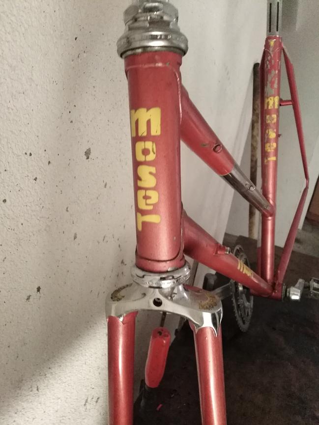 Bild 3 Frederico Moser Damen Rennrad  Neuaufbau