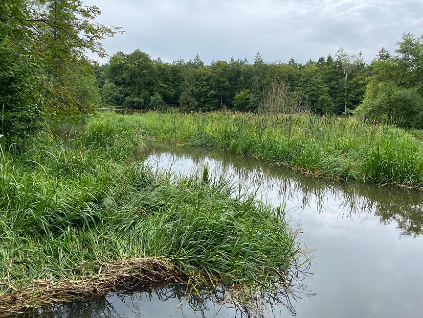 Bild 42 WER ERHOLUNG IN DER NATUR SUCHT, IST HIER GENAU RICHTIG