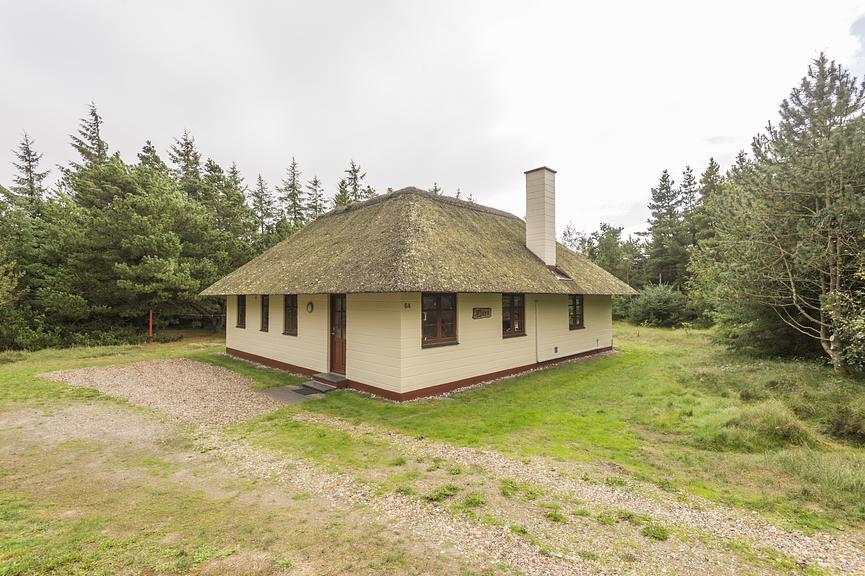 Bild 15 Dänemark  -  Blaavand - Ferienhaus - Frischer Wind