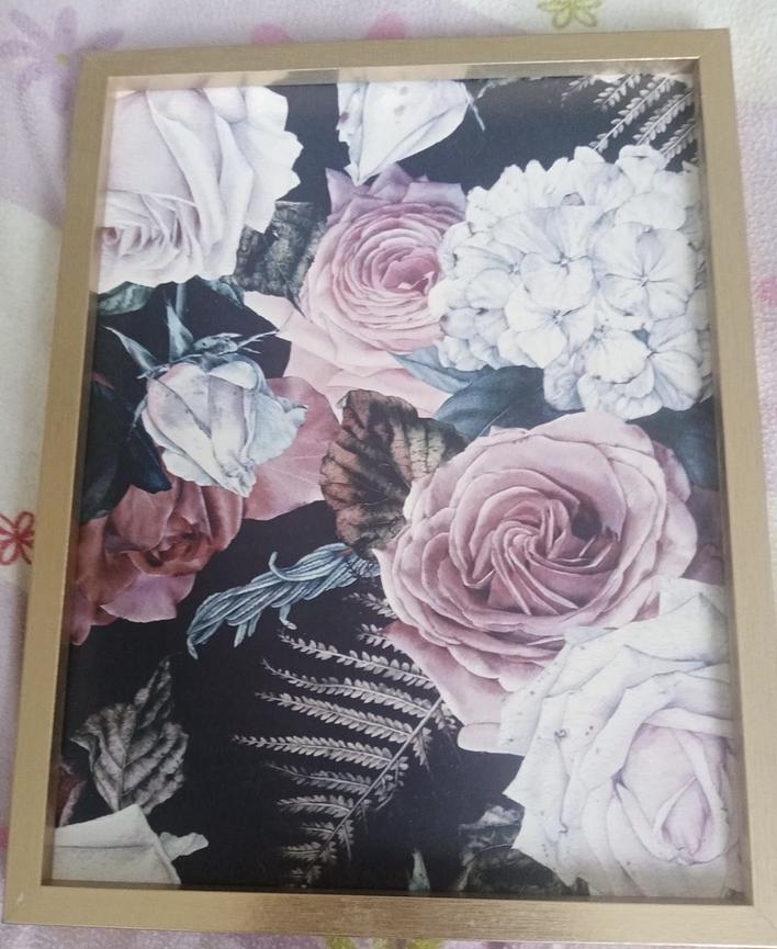 Bild 1 Bilder mit Rosenmotiv (je 10€)