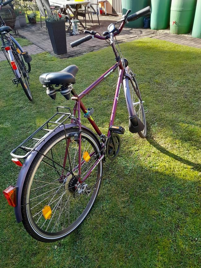 Bild 1 Herrenfahrrad zu verkaufen