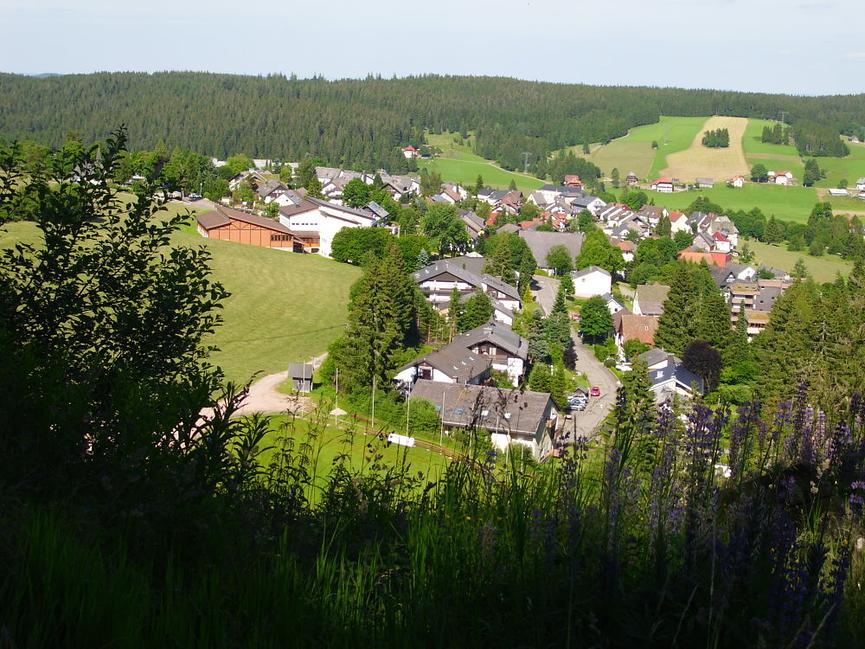 Bild 2 Ferienwohnung im Schwarzwald für 2 Personen im Schwarzwald 