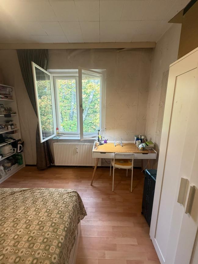 Bild 1 Flatmate wanted