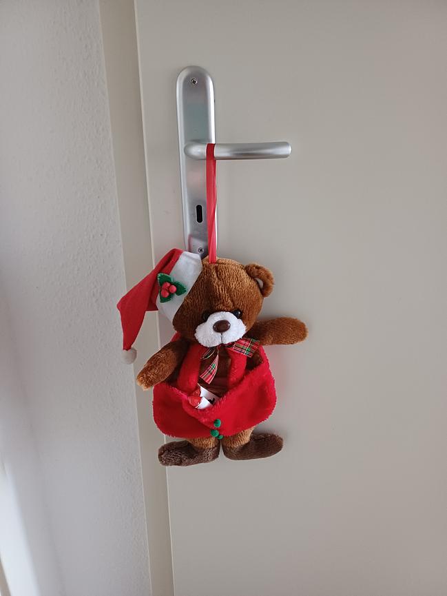 Bild 1 Nikolaus- Bär zum auffüllen und zum anhängen.