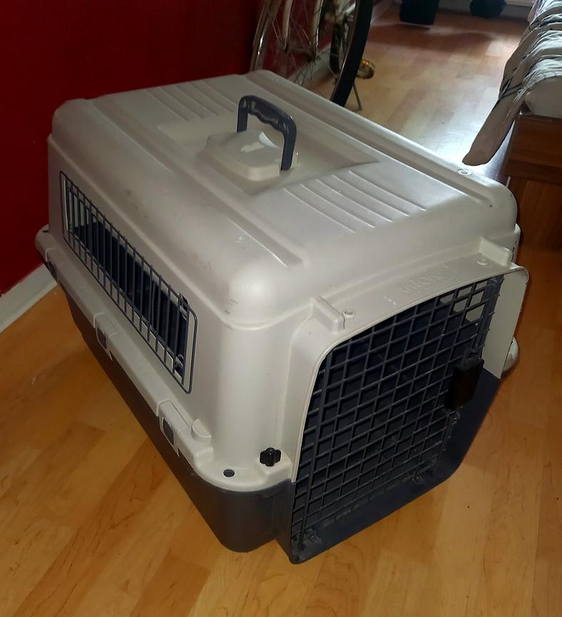 Bild 1 Transportbox AniOne Wild Variety gepflegt 85,- VB