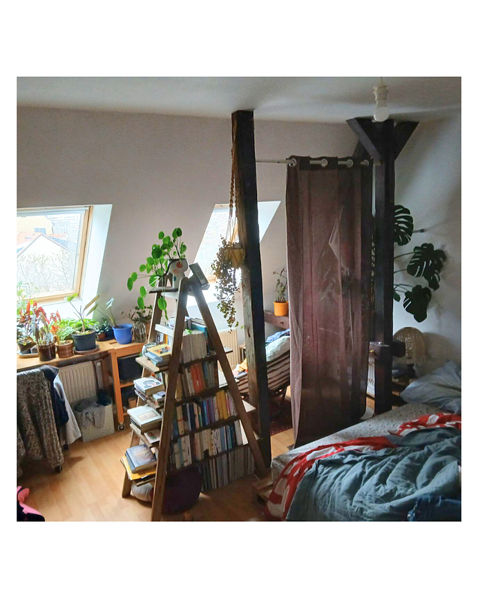 Bild 1 Zwischenmiete in Gemütlicher Dreier-WG