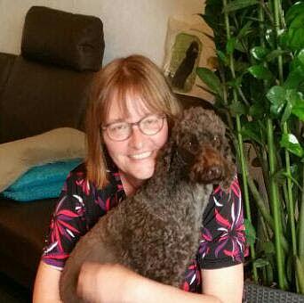 Bild 1 Hundebetreuung