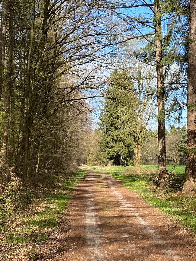Bild 46 WER ERHOLUNG IN DER NATUR SUCHT, IST HIER GENAU RICHTIG