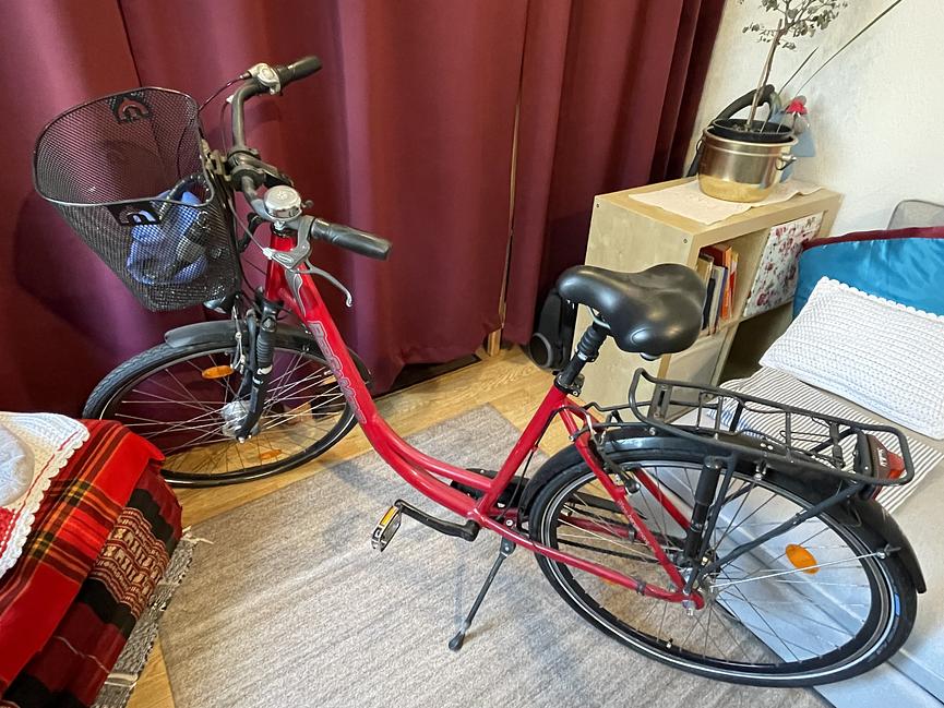 Bild 1 Damenfahrräder (28er)