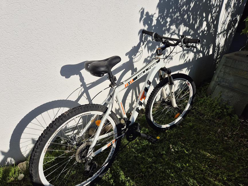 Bild 3 Stabiles Mountainbike – ideal für Wald- und Geländefahrten