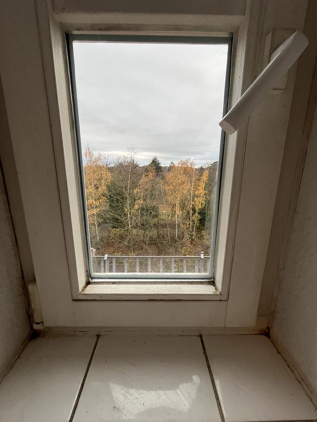 Bild 10 Zwei Raum Wohnung in Kleinzschocher zur Zwischenmiete