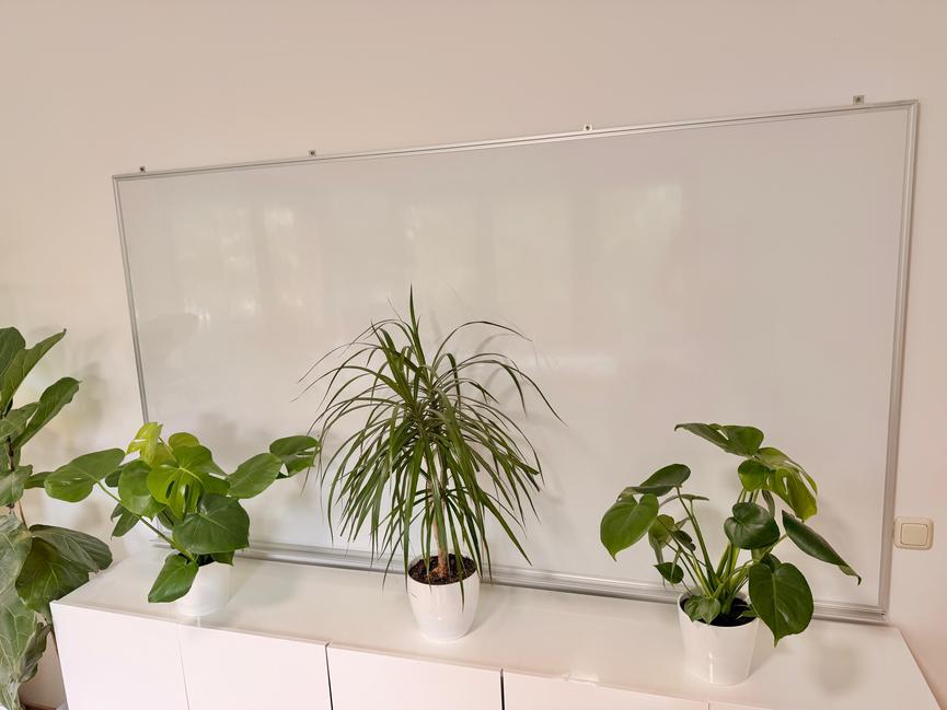 Bild 1 XXL MAGNETOPLAN® WHITEBOARD – 220 × 120 CM