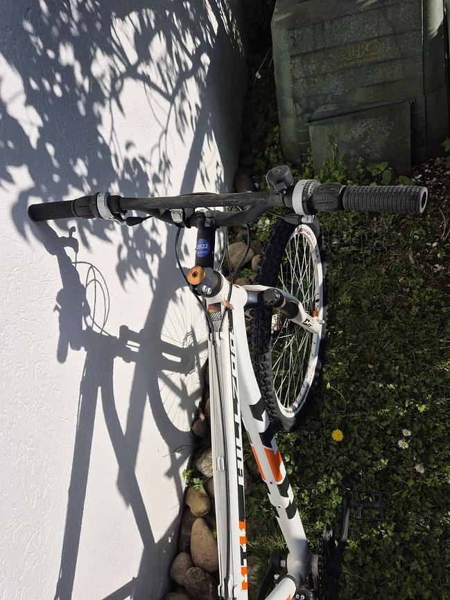 Bild 2 Stabiles Mountainbike – ideal für Wald- und Geländefahrten