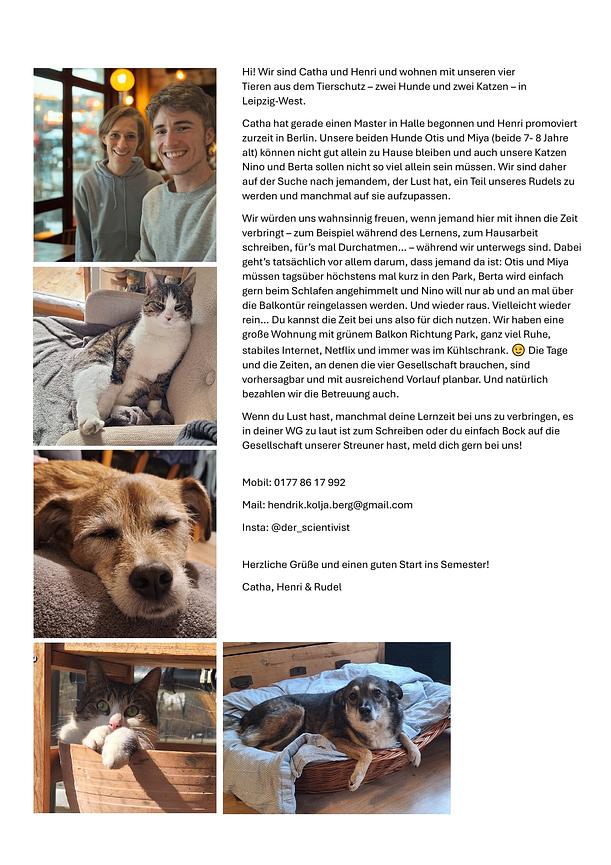 Bild 2 Unterstützung für unser Rudel gesucht