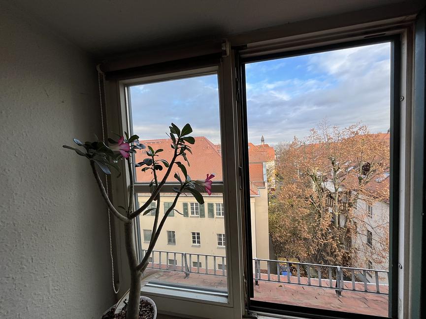 Bild 6 Zwei Raum Wohnung in Kleinzschocher zur Zwischenmiete