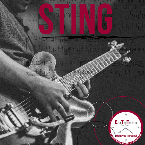 Bild 1 WIR SUCHEN DICH! EVENTKRÄFTE FÜR DAS STING KONZERT IN ZWICKAU 12.06'25!